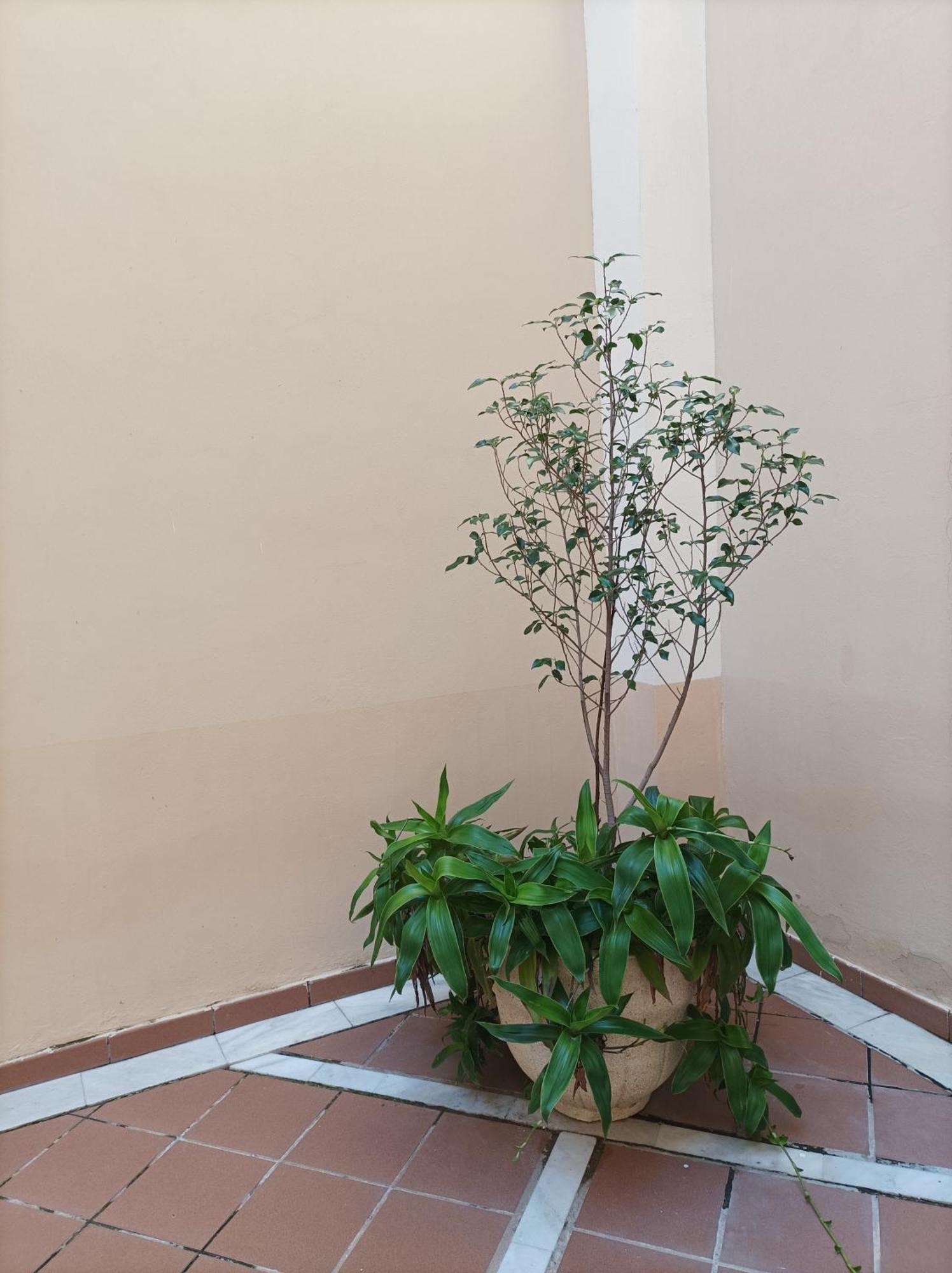 Apartamento De Lux Sevilla Este Luaran gambar
